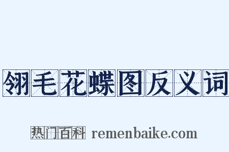 翎毛花蝶图反义词是什么意思的图片